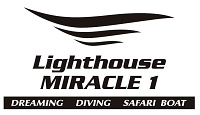 Lighthouse_Miracle1.jpg