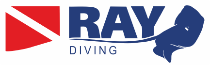 Ray diving logo